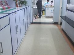 -北京观赏动物医院·24小时大型综合·猫专科·异宠专科