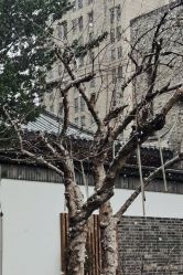 -保丽宝泰母婴护理院·月子中心·产康·中医(常州店)
