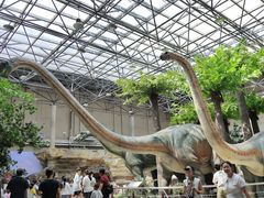 -国家自然博物馆