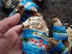 -马王堆海鲜水产市场