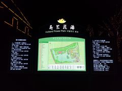 -荷兰花海