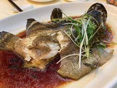 清蒸海石斑-南海渔村(珠江新城店)