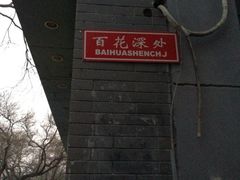 iphone_upload_pic-百花深处胡同