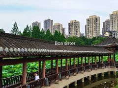 -龙头寺公园