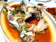 藤椒笋壳鱼-花城苑广府菜(侨鑫店)