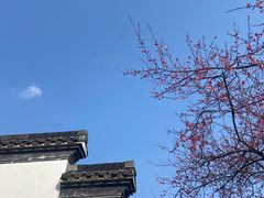 -何园