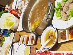 -掂档潮汕牛肉火锅(沈阳万象城店)