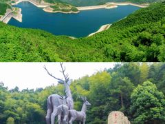 -长沙黑麋峰国家森林公园