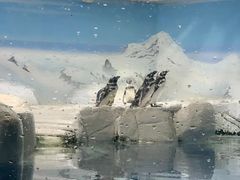 -上海海洋水族馆