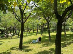 -深圳龙潭公园