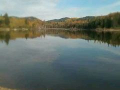 -五营红松林海景区