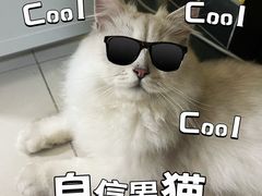 -猫大福·Fortune Cat猫舍(百子湾店)