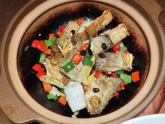 -张家卫·阳江菜·小海鲜(肥婆湾桥店)