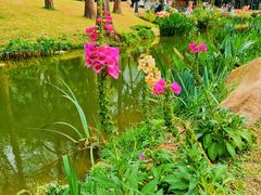 -人民公园(罗湖区)