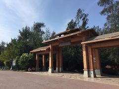 -北海金海湾红树林生态旅游区