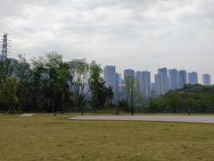 -重庆彩云湖湿地公园