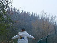 -日照海滨国家森林公园