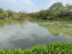 -西溪国家湿地公园