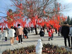 -冶父山国家森林公园
