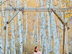 -乌兰布统景区-白桦林