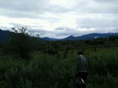 android_upload_pic-叠水河瀑布