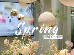 -春树下·树屋花房西餐厅(罍街AS1980店)