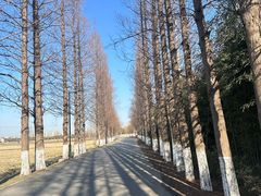 -嘉北郊野公园