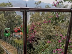-攀枝花公园