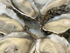-明本湛江鸡•海鲜小厨(陈家祠店)