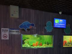 -秦皇岛新澳海底世界