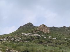 -灵山