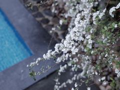 -原乡芦茨咖啡