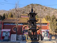 -遵化市禅林寺古银杏风景园