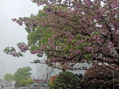 -万达广场(松江店)