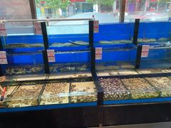 水产区-添福来墨鱼饺子 · 海鲜东北菜(泡崖店)