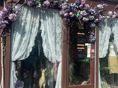 -Sirena海妖日咖夜酒