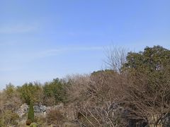 -上海吴淞炮台湾国家湿地公园