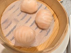 -金粤九号(李公堤店)