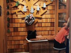 -MOCHA明星猫咖(田子坊店)