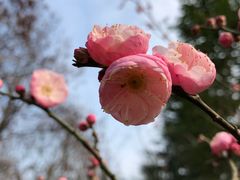 -白塘生态植物园