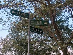 -紫金山山顶公园