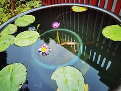 -龙华素斋(龙华路店)