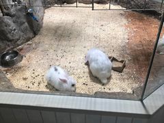 -海合安青岛极地海洋公园