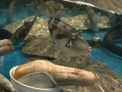 -万盛合(渔人码头店)