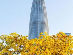 -深圳人才公园