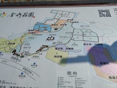 -金卉庄园