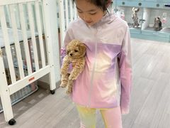 -萌宠之家·腊肠犬·马尔泰·小体犬舍