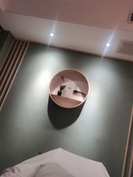 -梵隐SPA