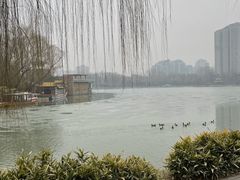 -紫竹院公园-东门停车场