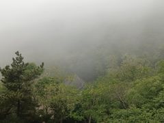 -石老人观光园